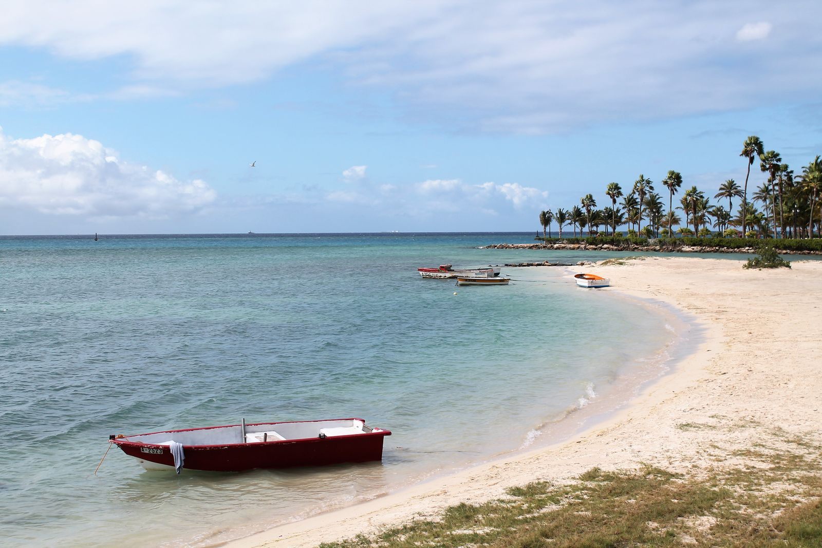 Quiet Aruba beach with clear water, boats and palm trees, the kind of off-peak Caribbean day that cruise bargains are made of